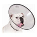 KVP Saf-T-Clear Transparent Elizabethan Dog Collar (Copy) - VMX PETS