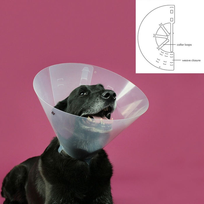 KVP Betsy Transparent Elizabethan Dog Collar (Copy) - VMX PETS