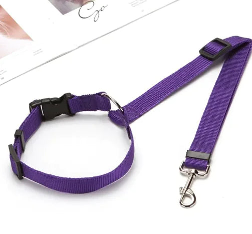 Pet Car Safety Seat Belt