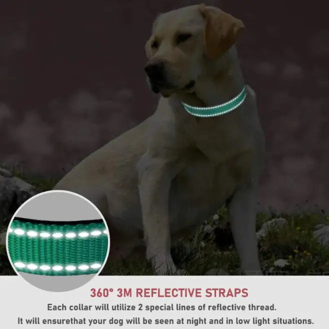 Adjustable Chest Strap Dog Collar