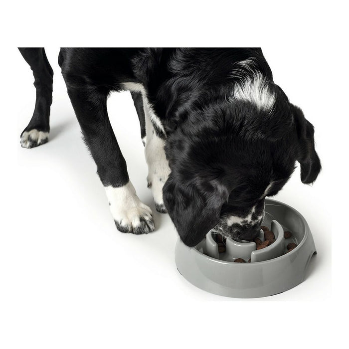 Hunter Melamin Dog Feeder (Copy) - VMX PETS