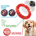 Ferplast  Natural Rubber Dog Chewing Toy (Copy) - VMX PETS - Ferplast