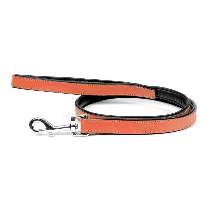 Gloria Dog Lead (1.8 x 100 cm) (Copy) - VMX PETS