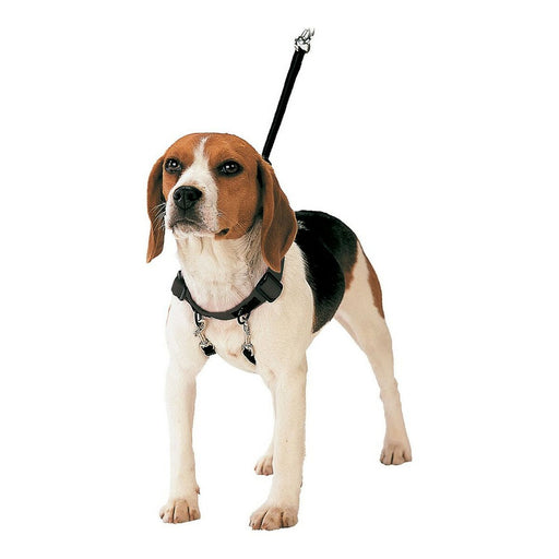 Gloria Black Dog Harness (Copy) - VMX PETS