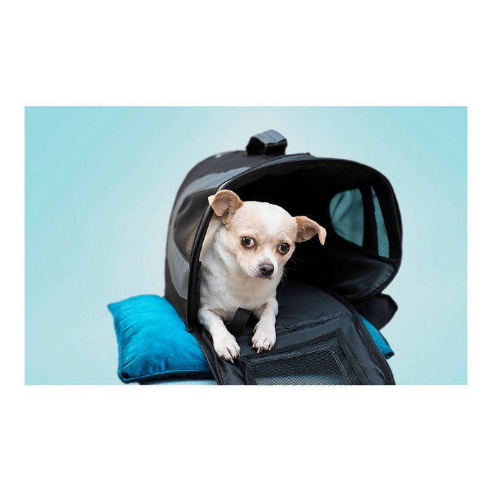 Gloria Gloss Airline Foldable Carrier (Copy) - VMX PETS