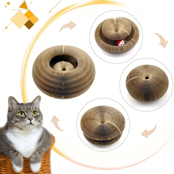 Magic Organ Cat Toy Cats Scratcher