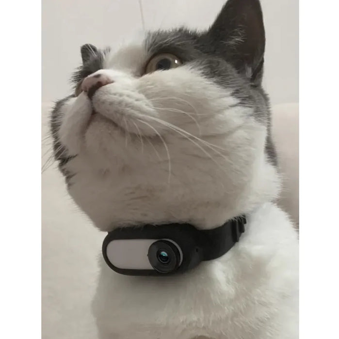 Wireless Pet Collar Camera - Indoor & Outdoor Recording for Cats and Dogs