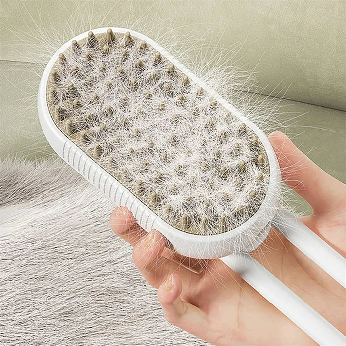 Steam Brush