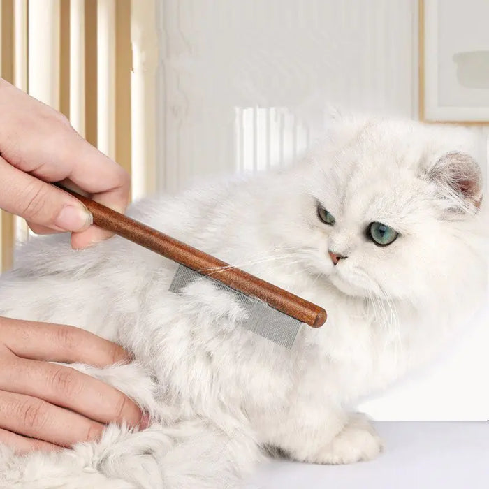 Cat Comb Brush