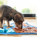 Sniffing Mat for Pets (Copy) - VMX PETS