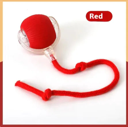 Pet Toy Ball – Bite-Resistant & Fun for Cats