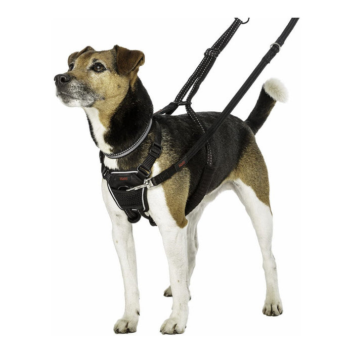 Company of Animals Halti Dog Harness - VMX PETS