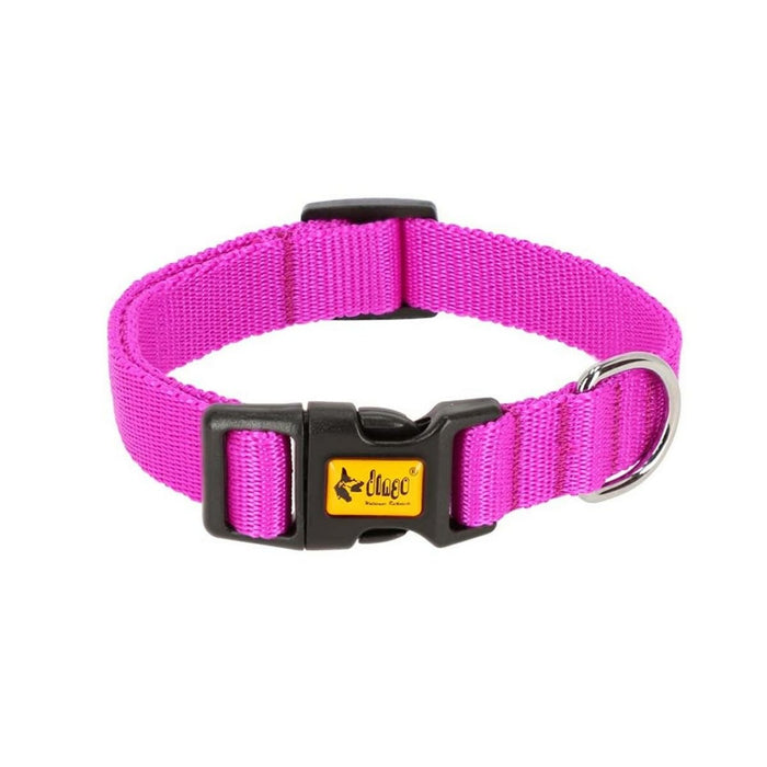 Dingo Dog Collar - VMX PETS