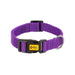 Dingo Dog Collar - VMX PETS