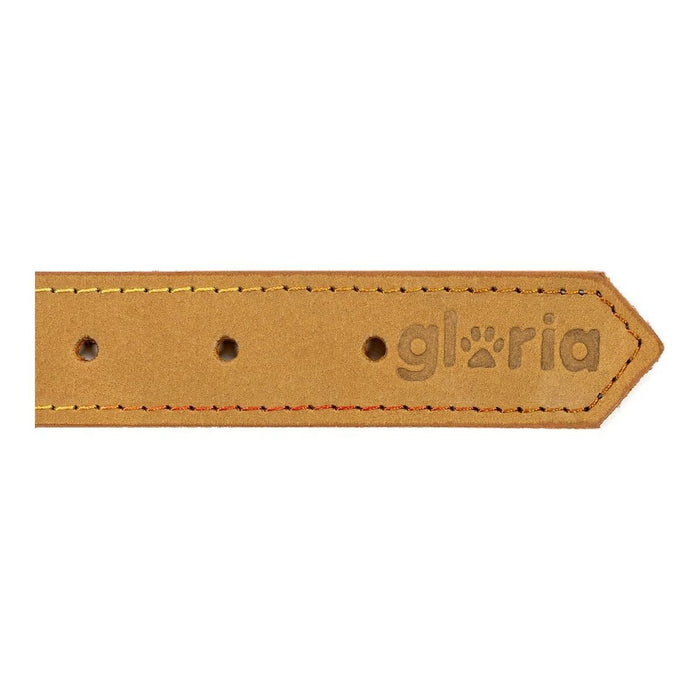 Dog Collar Gloria Oasis - VMX PETS