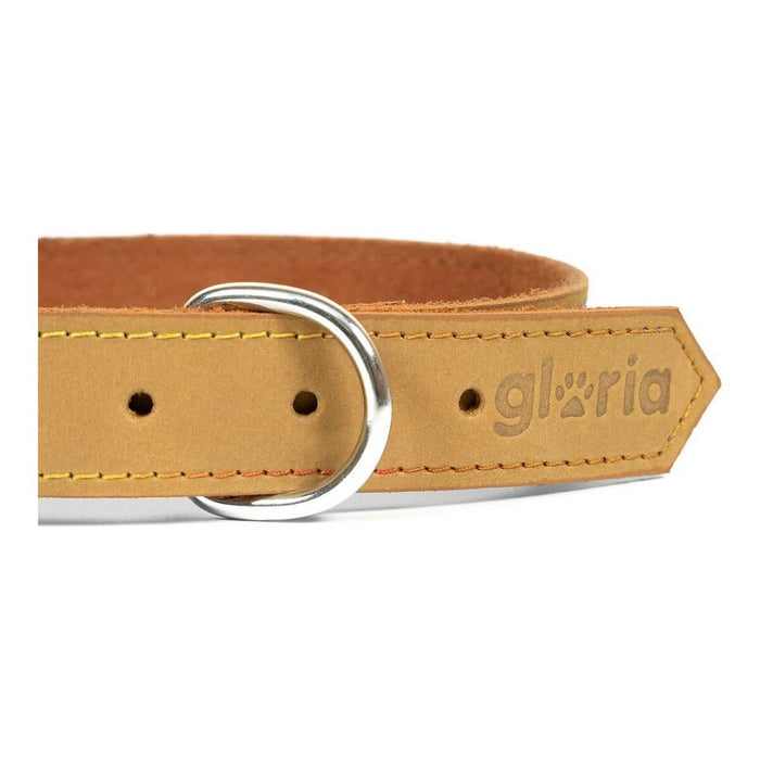 Dog Collar Gloria Oasis - VMX PETS