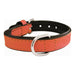 Dog Collar Gloria Padded - VMX PETS