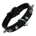 Dog Collar Gloria Spikes - VMX PETS