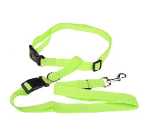 Pet Car Safety Seat Belt