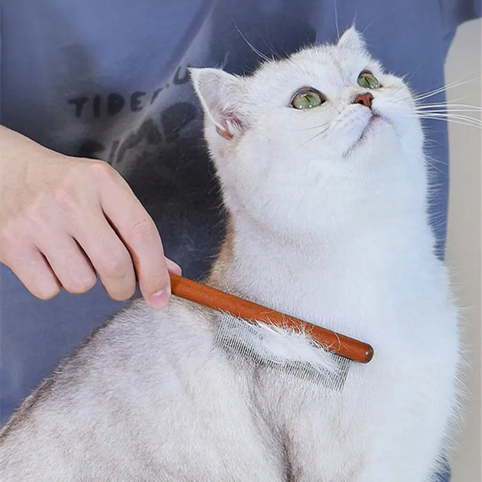 Cat Comb Brush