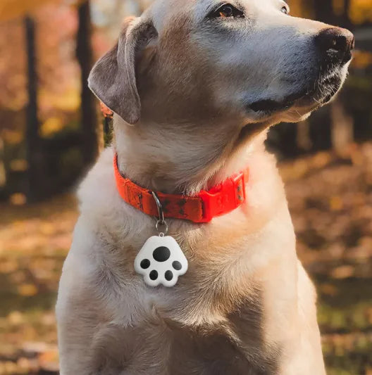 PawGuard Tracker GPS