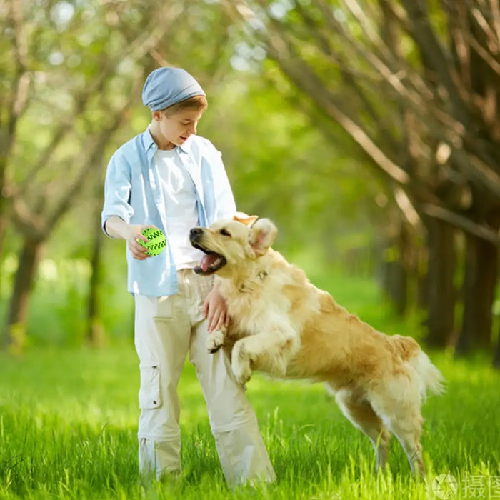 Interactive Rubber Balls For Small And Large Dogs